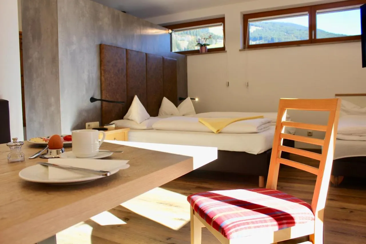 Pension Norika Saalbach-Hinterglemm 3*,  Austria
